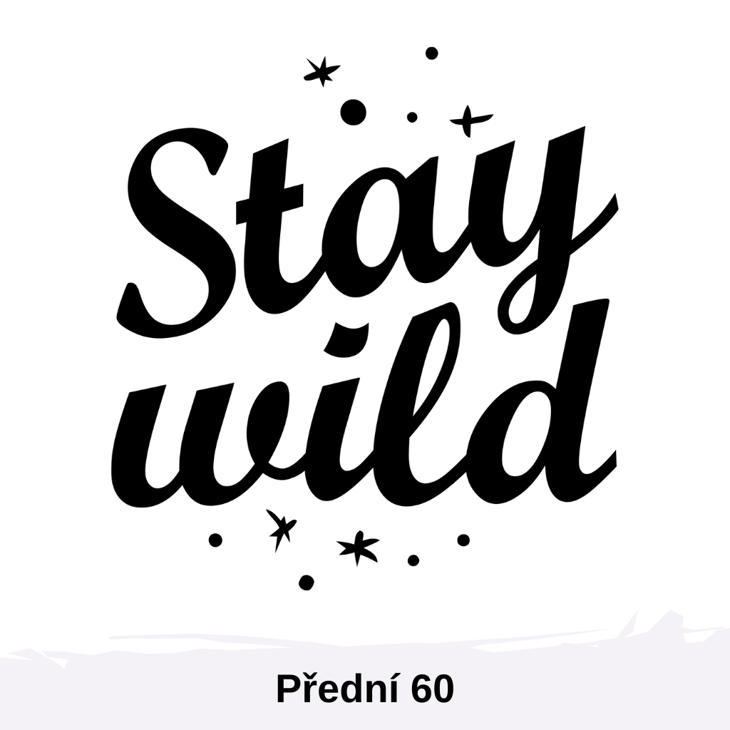 Přední 60